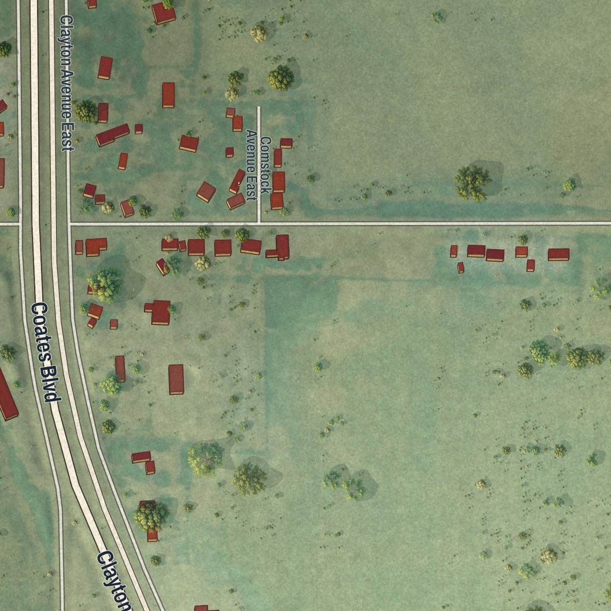 Close-up of the map of Coates, Minnesota print showing street and building detail