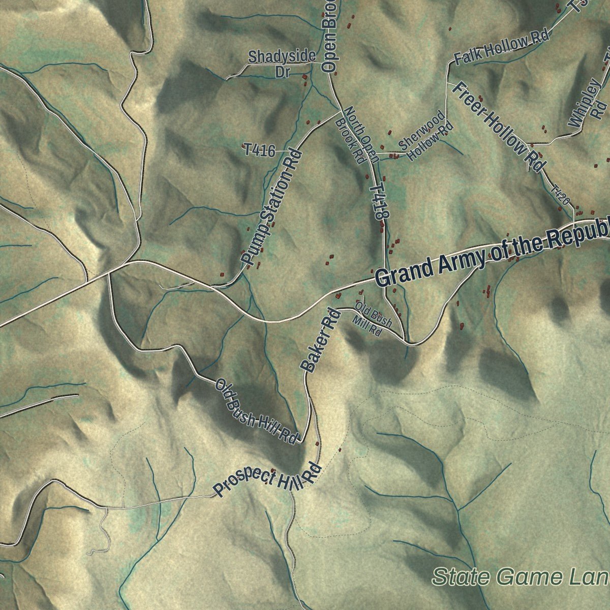 Close-up of the map of Liberty, McKean County, Pennsylvania print showing street and building detail