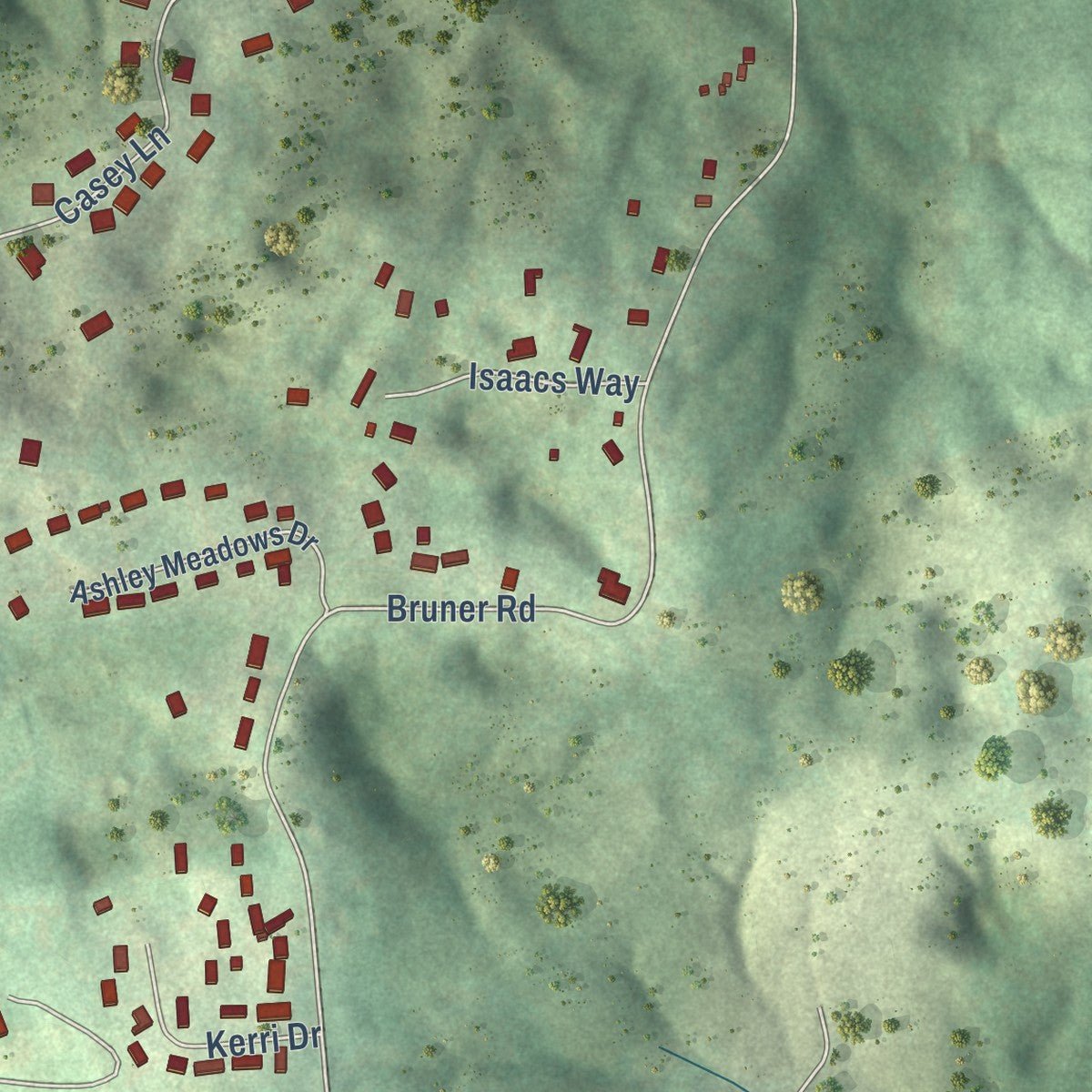 Close-up of the map of Strawberry Plains, Tennessee print showing street and building detail