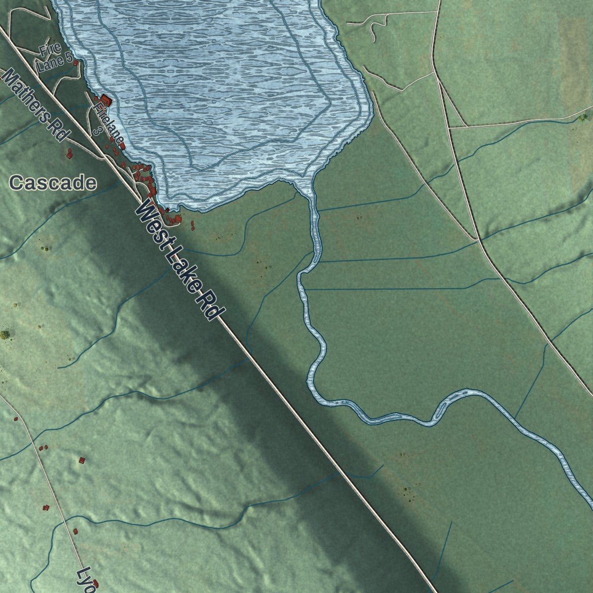 Close-up of the map of Venice, New York print showing street and building detail