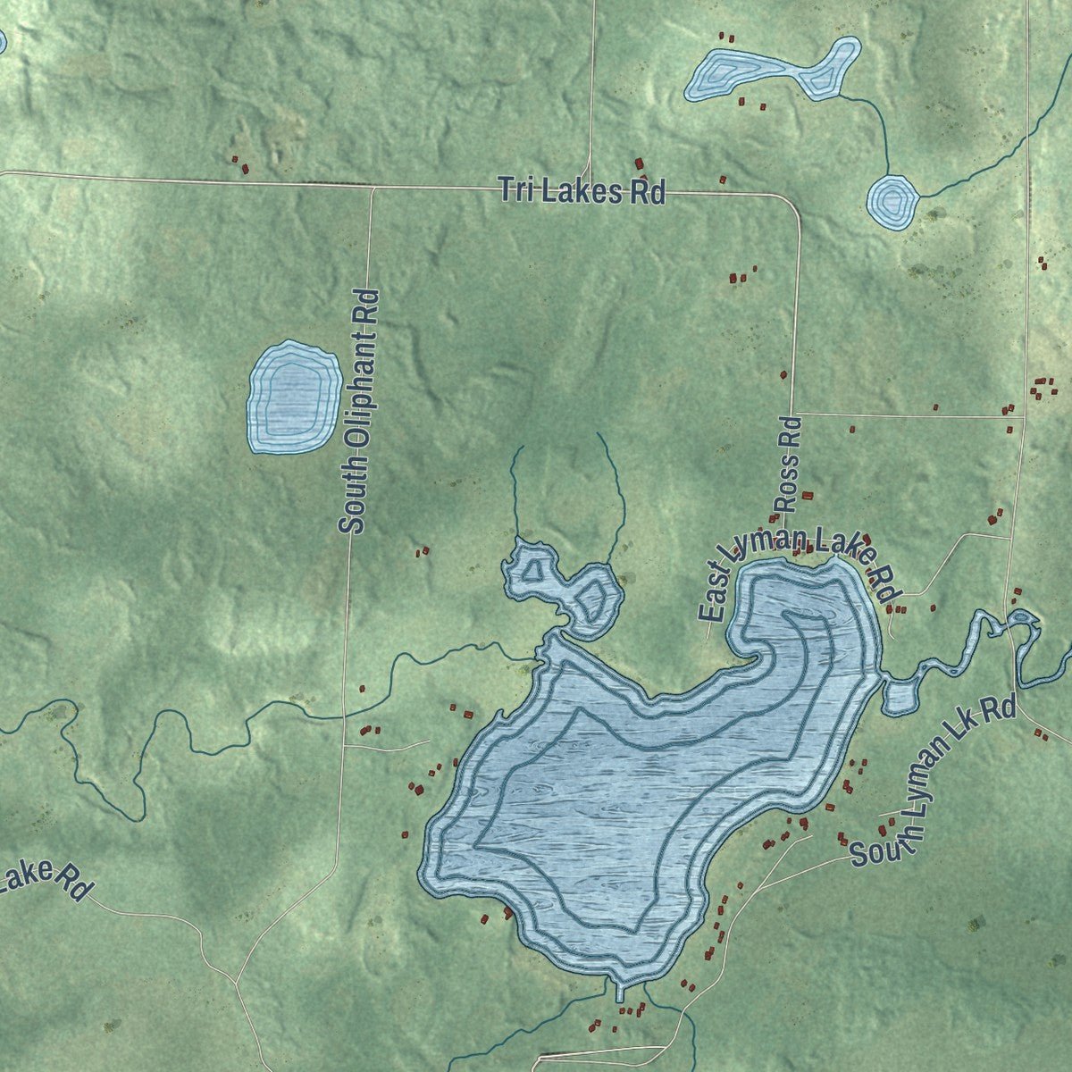 Close-up of the map of Oakland, Douglas County, Wisconsin print showing street and building detail