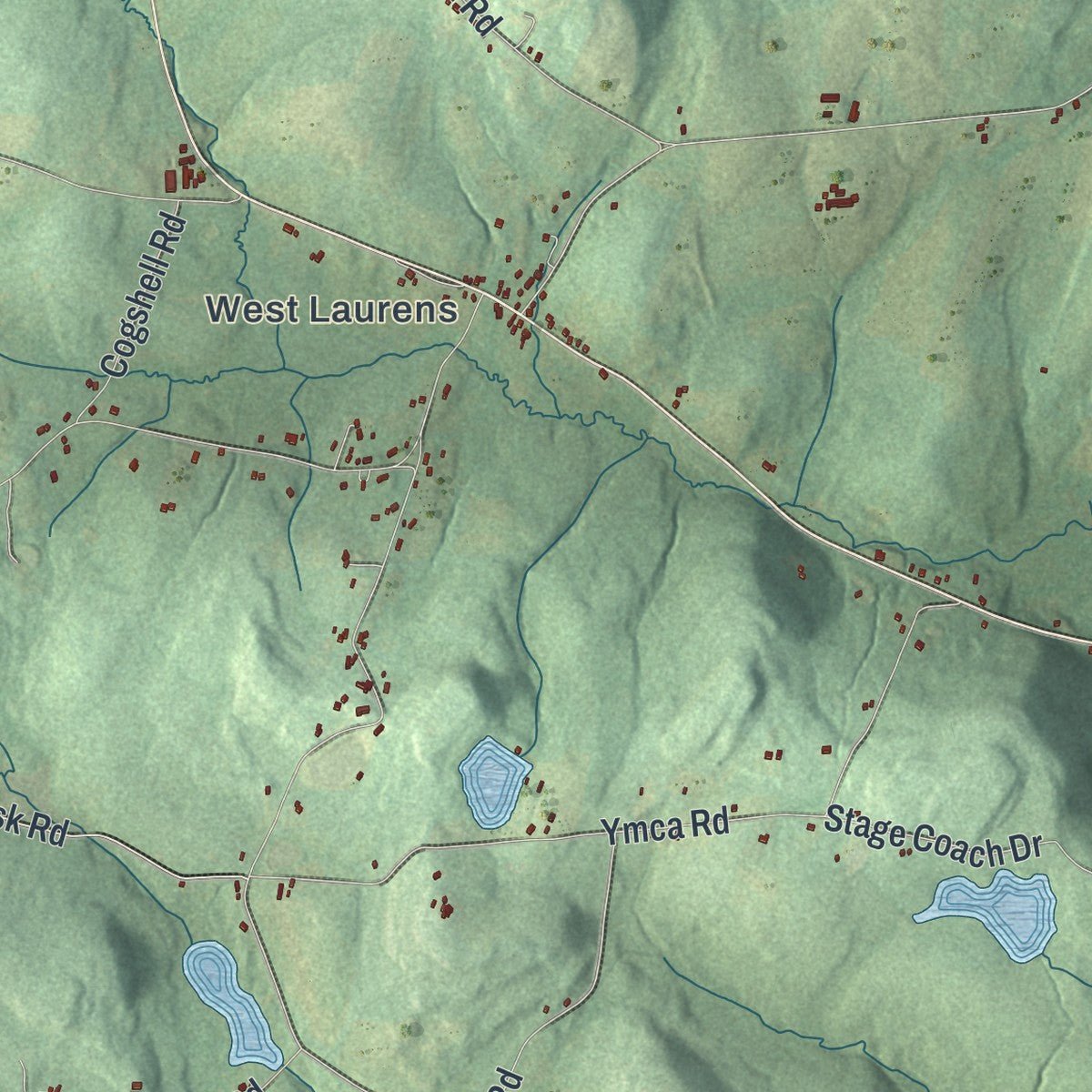 Close-up of the map of Laurens, New York print showing street and building detail