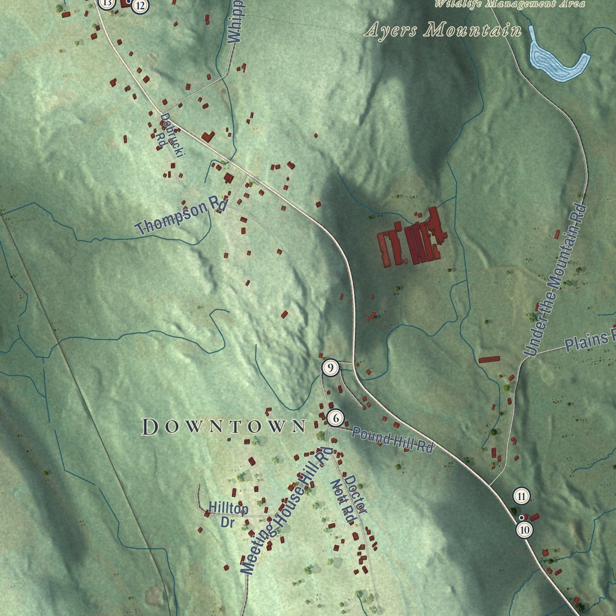 Close-up of the map of Franklin, Connecticut print showing street and building detail