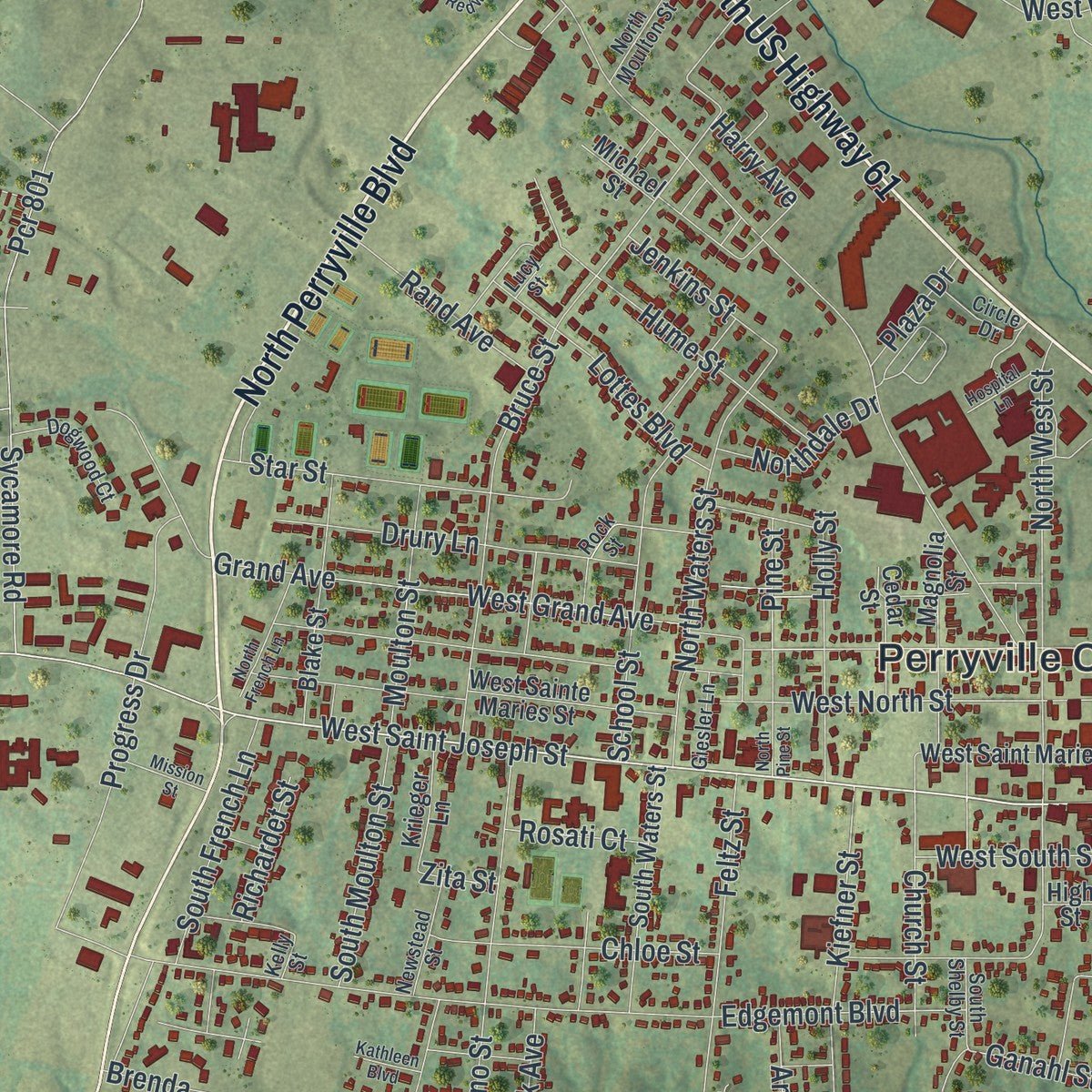 Close-up of the map of Perryville, Missouri print showing street and building detail