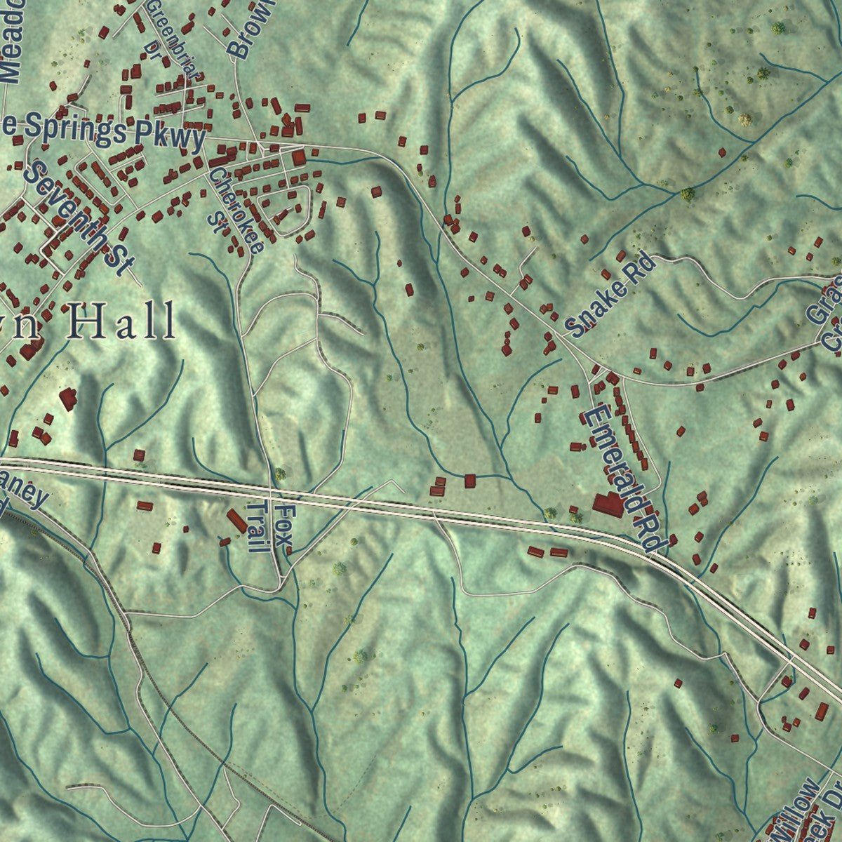 Close-up of the map of Mosheim, Tennessee print showing street and building detail