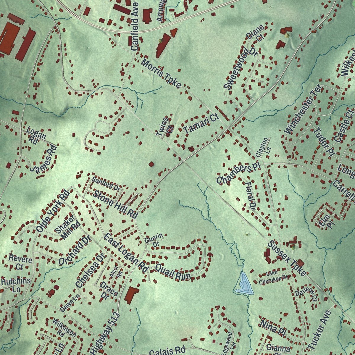 Close-up of the map of Randolph, New Jersey print showing street and building detail