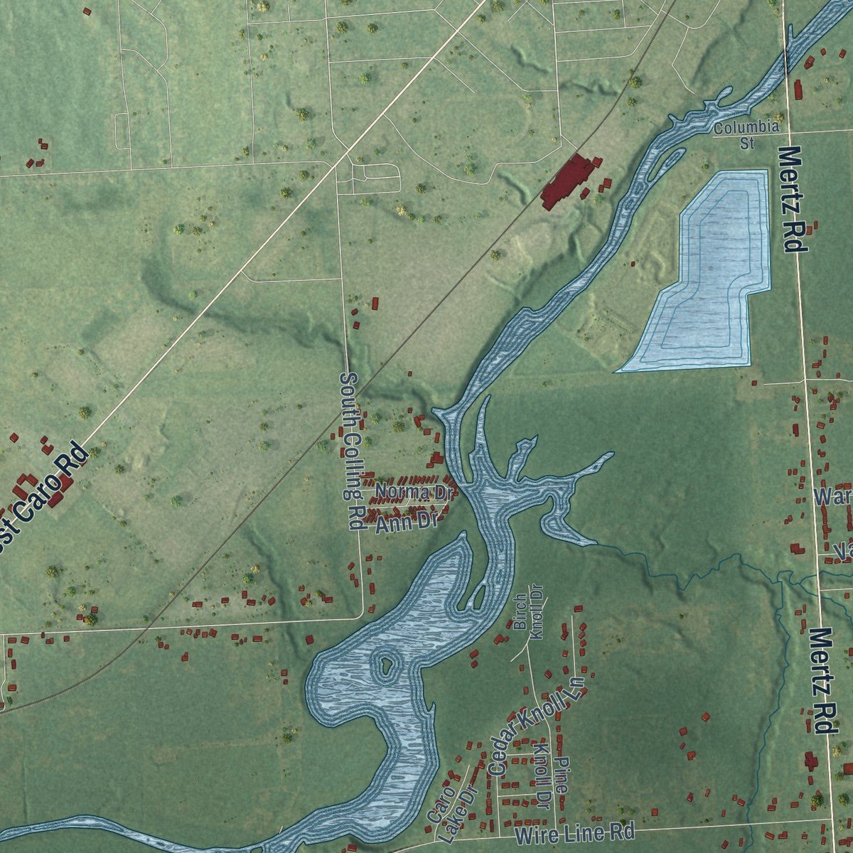 Close-up of the map of Indianfields, Michigan print showing street and building detail