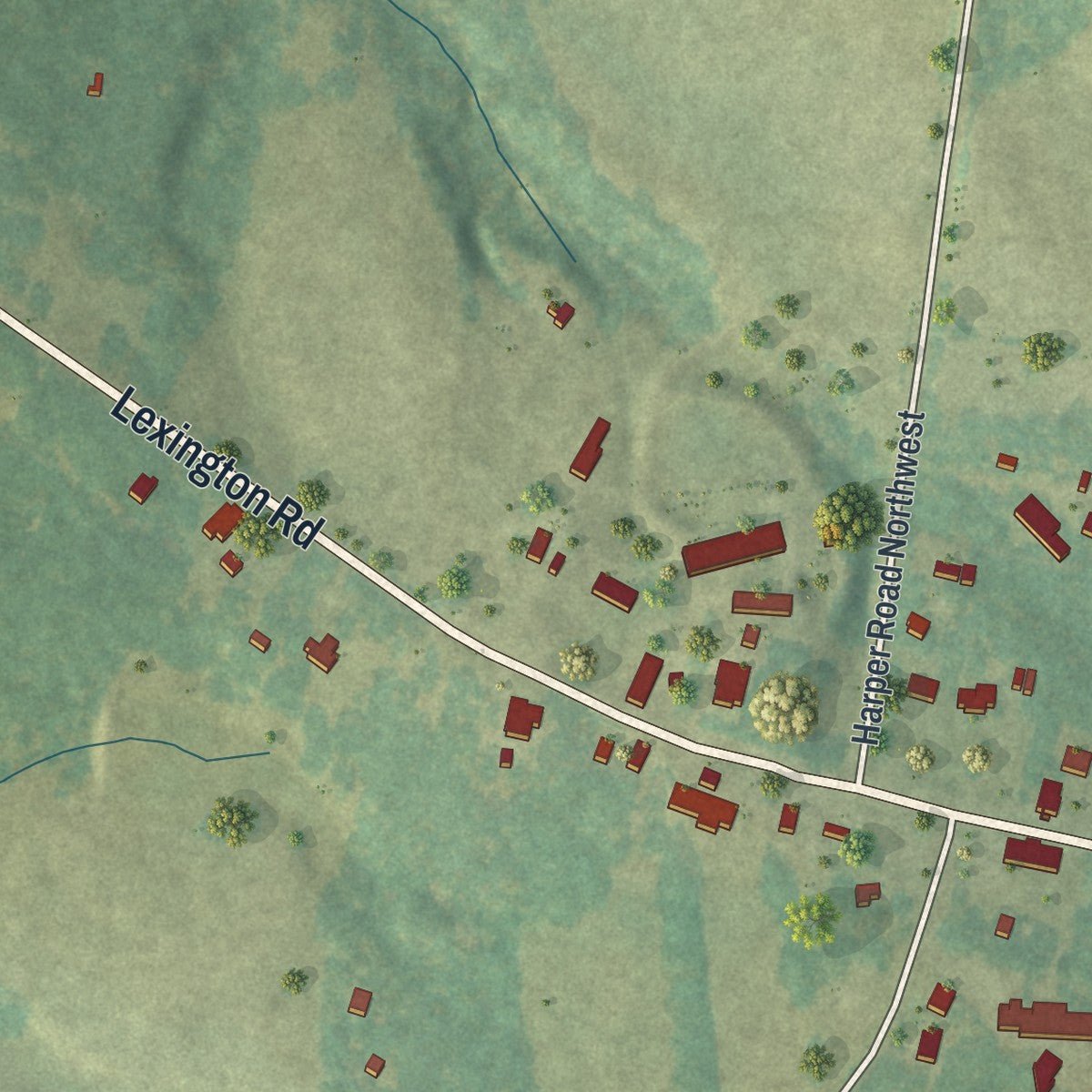 Close-up of the map of Rayle, Georgia print showing street and building detail
