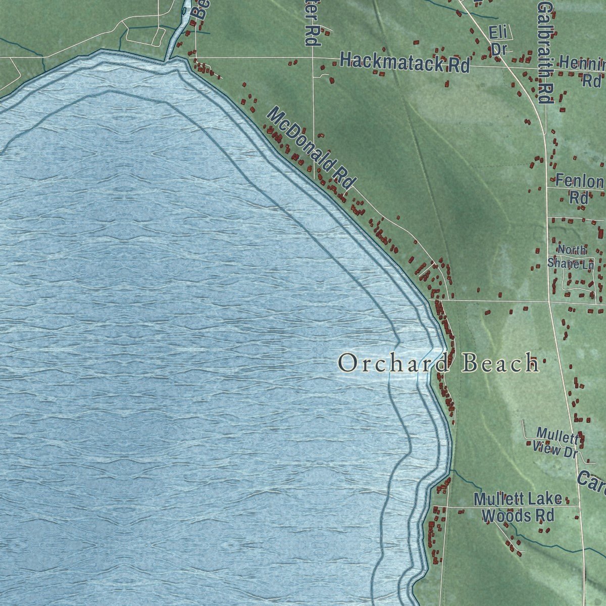 Close-up of the map of Benton, Cheboygan County, Michigan print showing street and building detail
