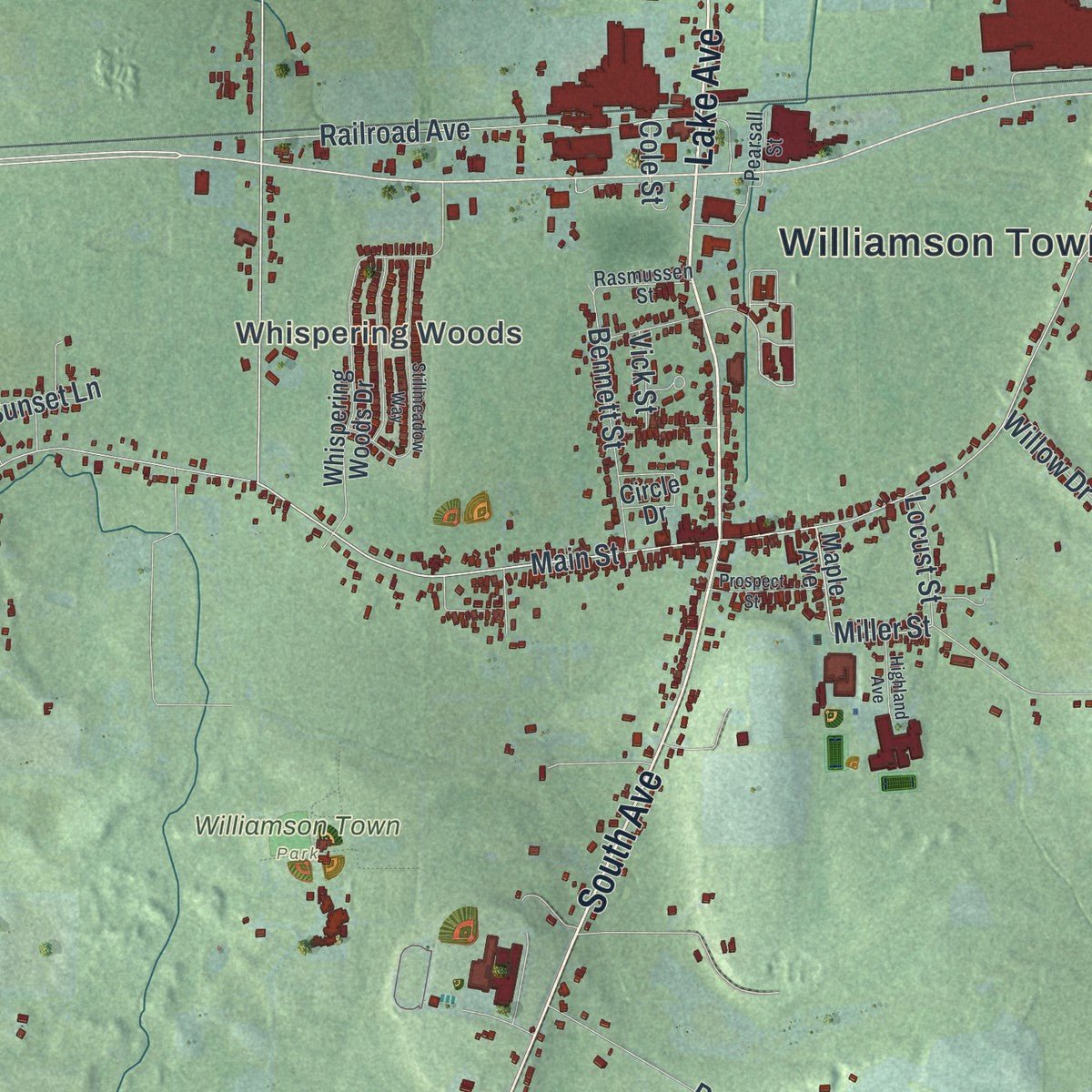 Close-up of the map of Williamson, New York print showing street and building detail