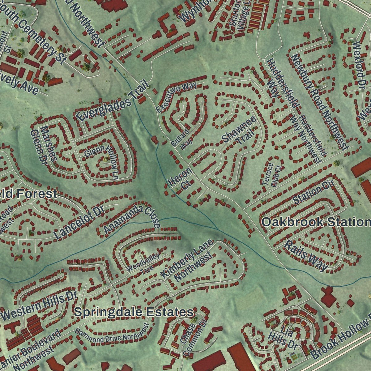 Close-up of the map of Norcross, Georgia print showing street and building detail