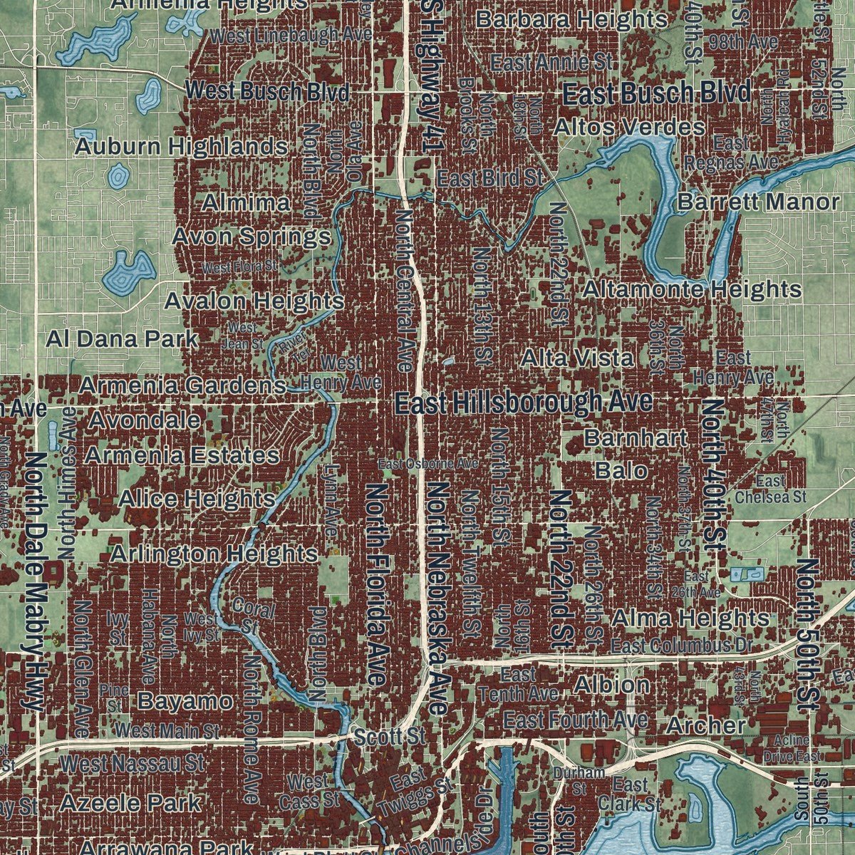 Close-up of the map of Tampa, Florida print showing street and building detail