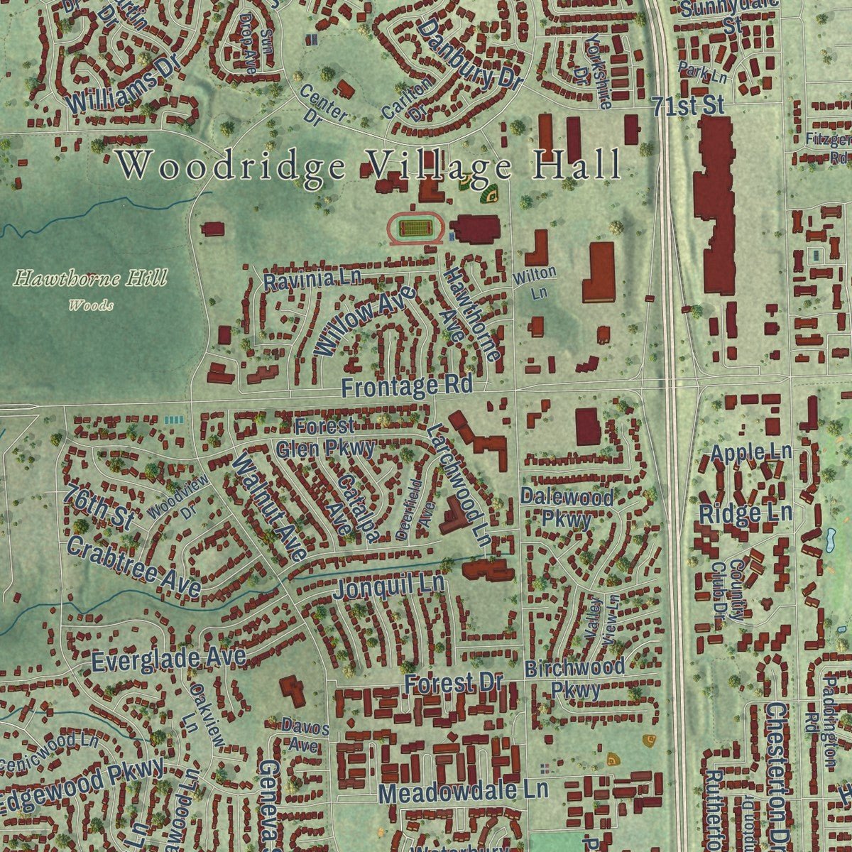 Close-up of the map of Woodridge, Illinois print showing street and building detail
