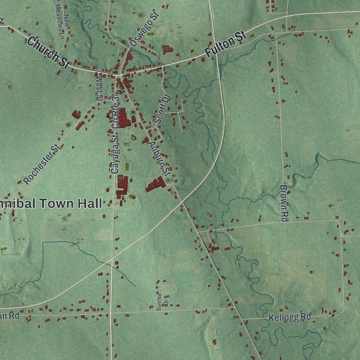 Close-up of the map of Hannibal, New York print showing street and building detail