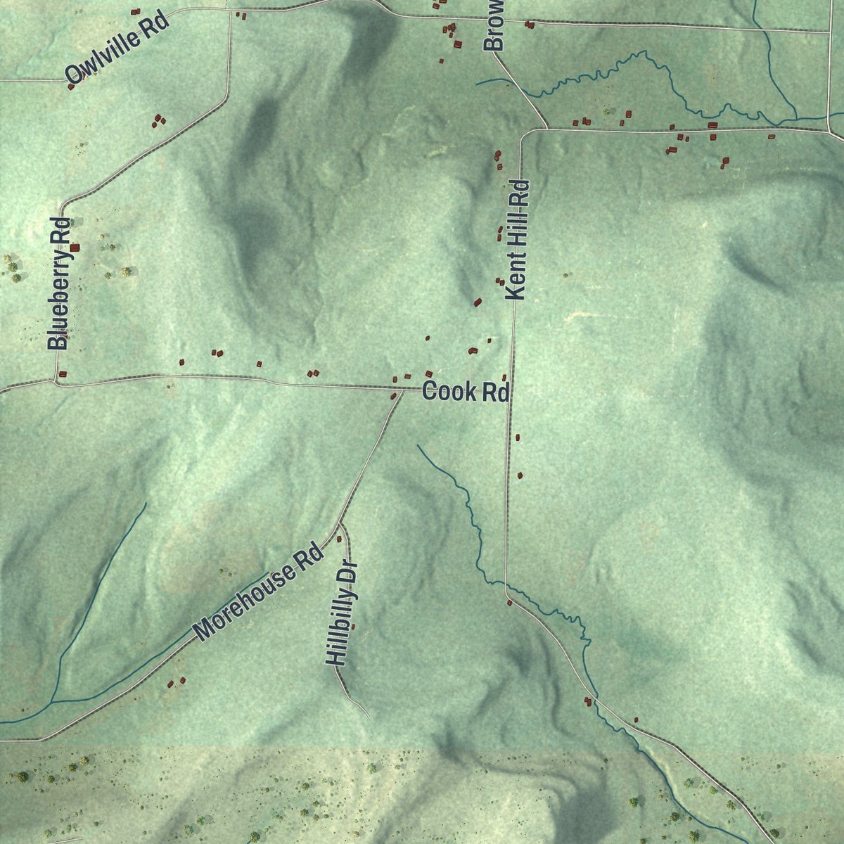 Close-up of the map of Woodhull, New York print showing street and building detail