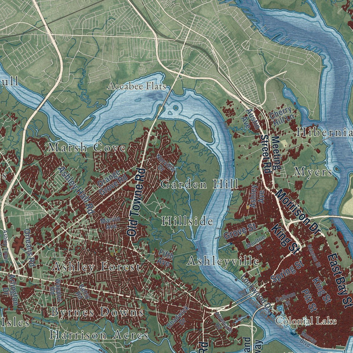 Close-up of the map of Charleston, South Carolina print showing street and building detail