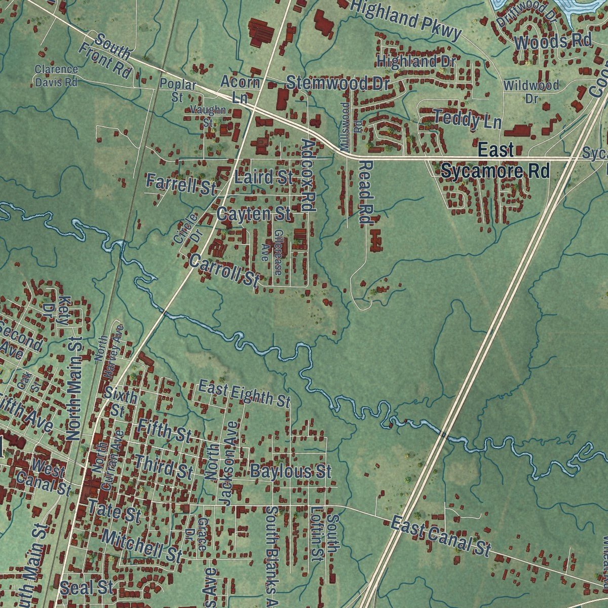 Close-up of the map of Picayune, Mississippi print showing street and building detail