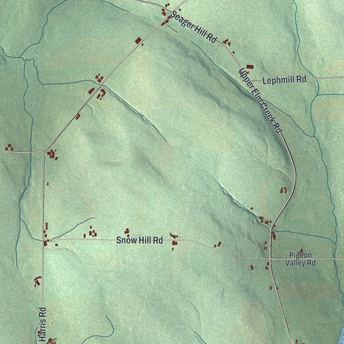 Close-up of the map of Conewango, New York print showing street and building detail