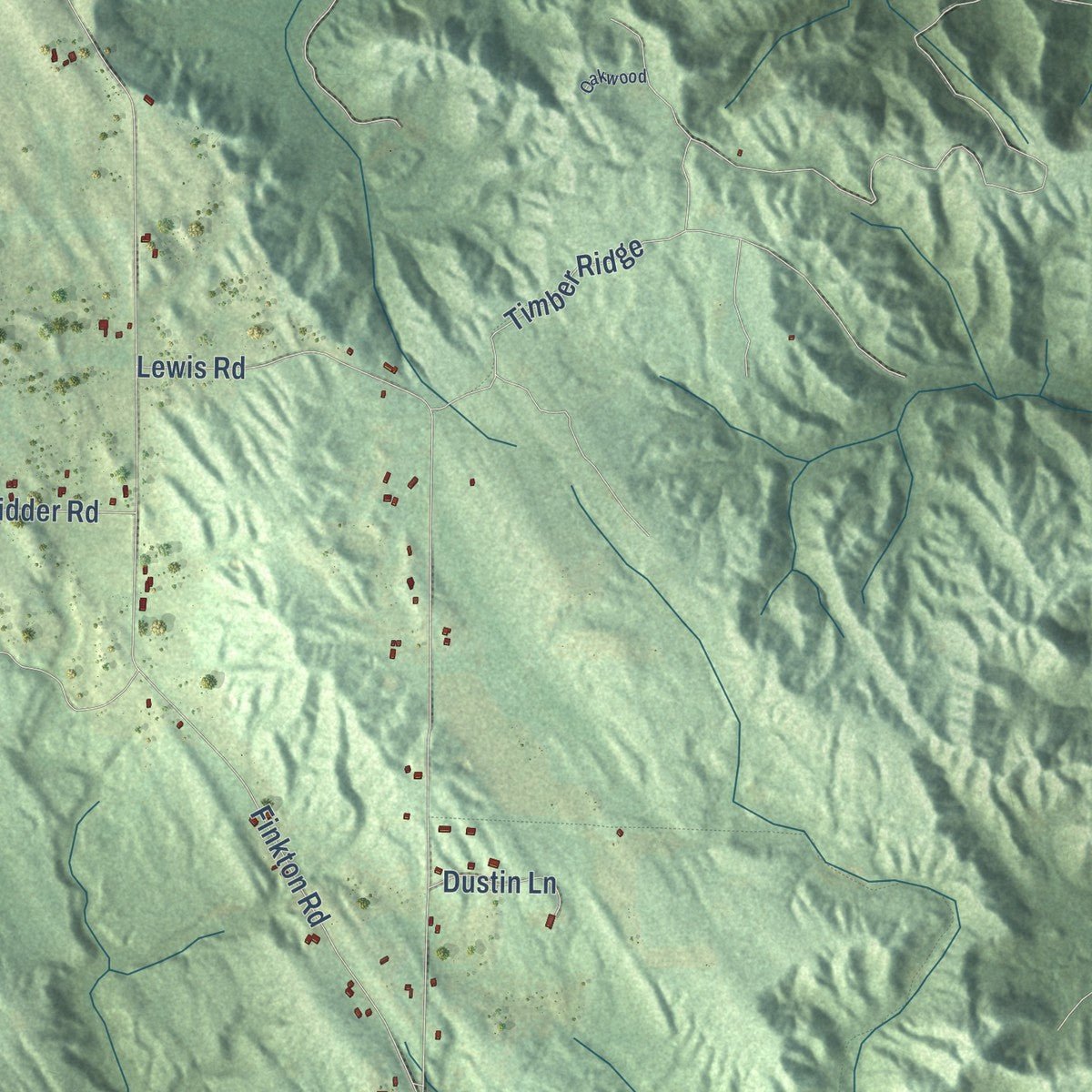 Close-up of the map of Echo, Michigan print showing street and building detail