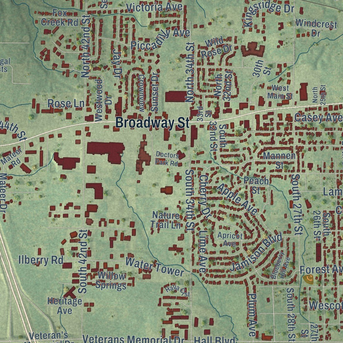 Close-up of the map of Mount Vernon, Illinois print showing street and building detail