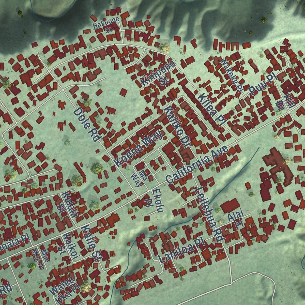 Close-up of the map of Wahiawa, Hawaii print showing street and building detail