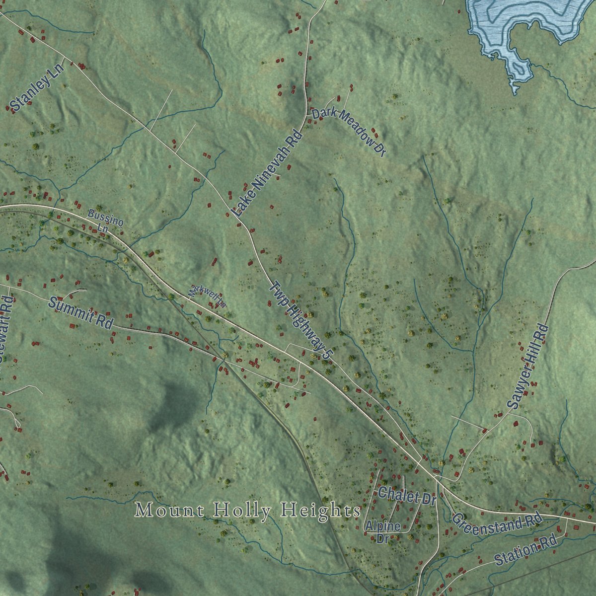 Close-up of the map of Mount Holly, Vermont print showing street and building detail