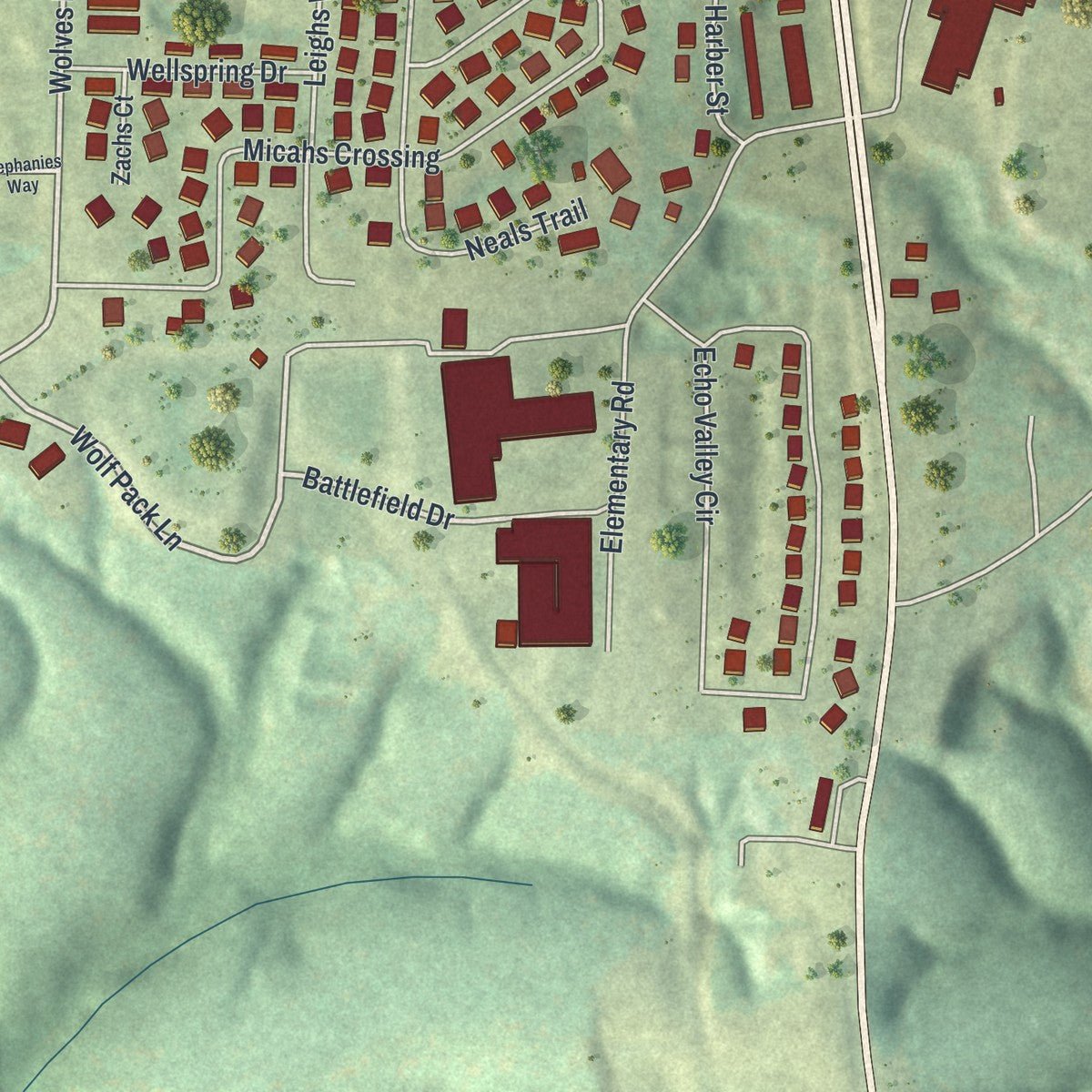 Close-up of the map of Reeds Spring, Missouri print showing street and building detail