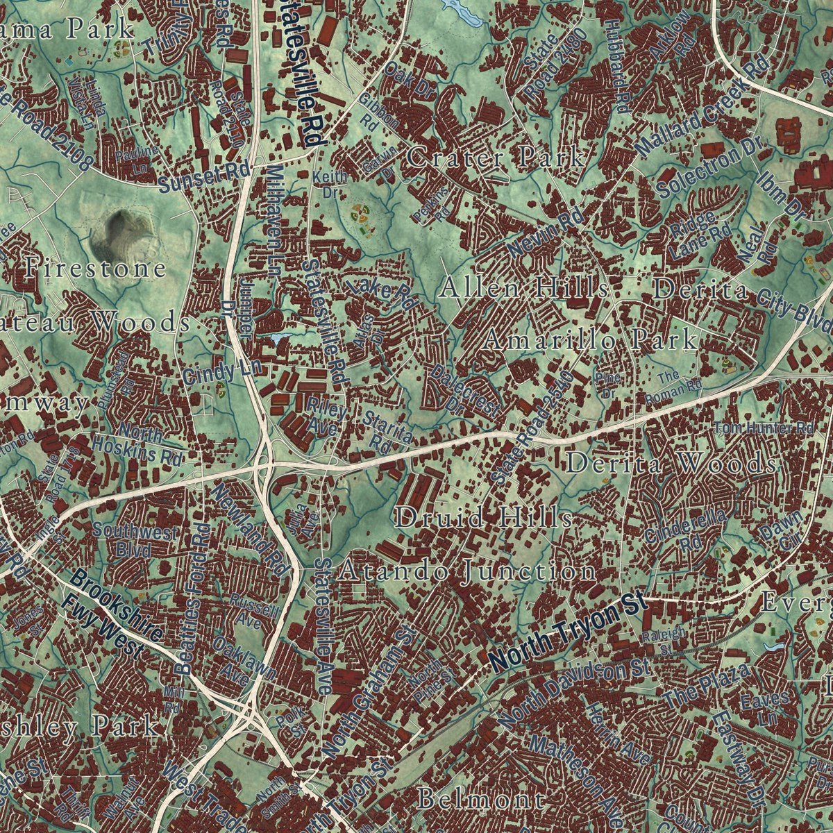 Close-up of the map of Charlotte, North Carolina print showing street and building detail