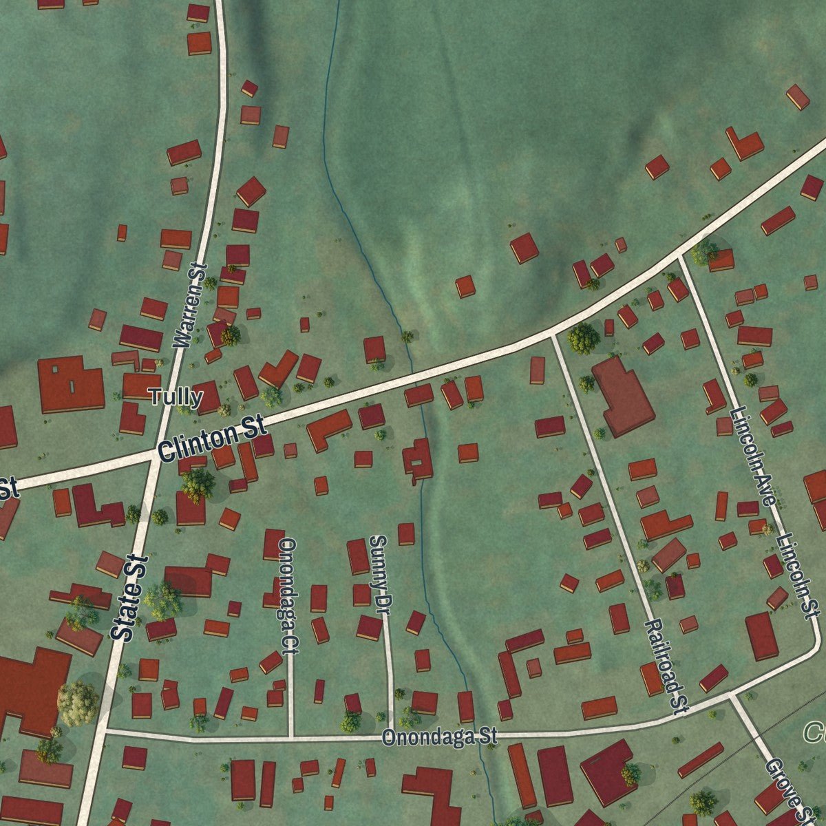 Close-up of the map of the Village of Tully, New York print showing street and building detail