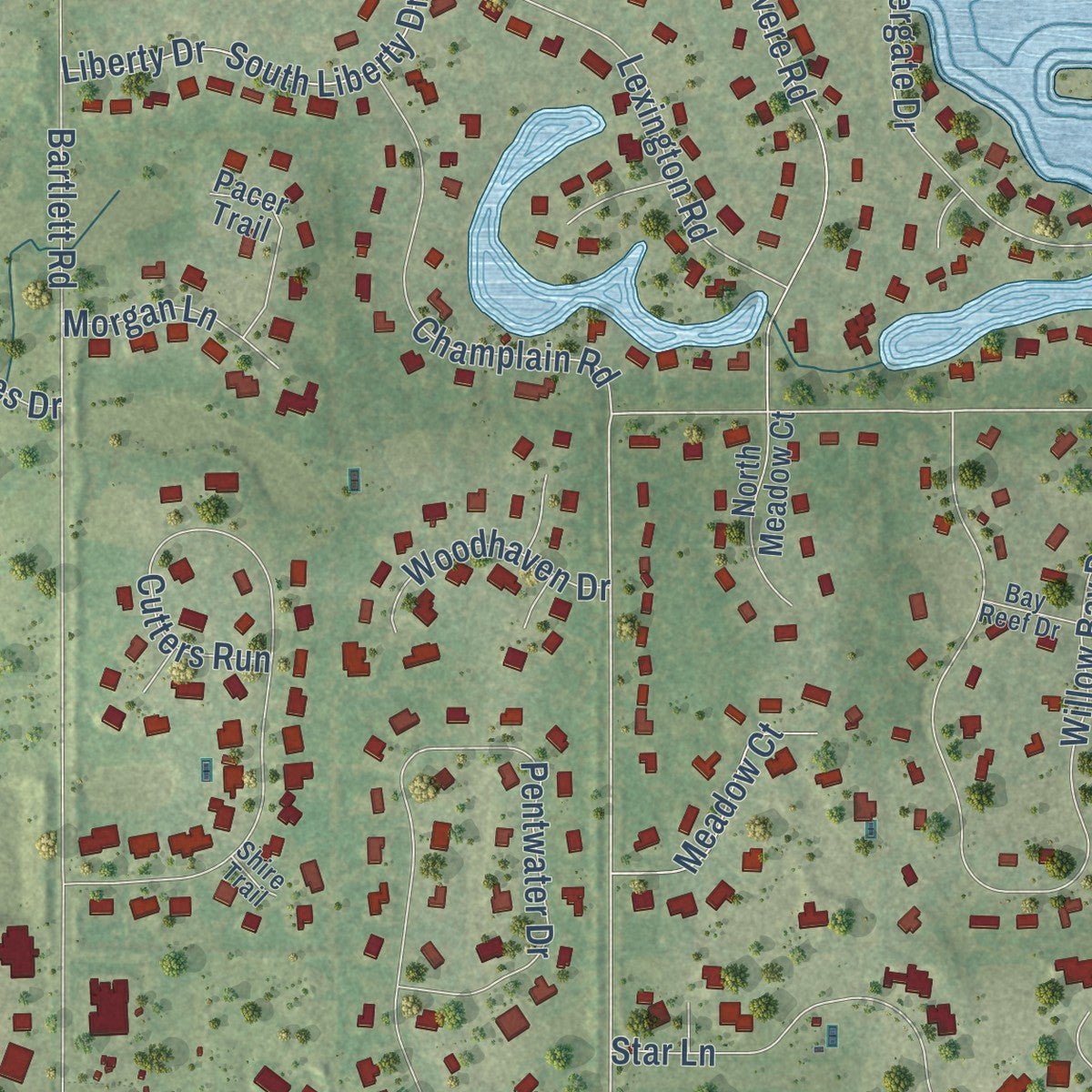 Close-up of the map of South Barrington, Illinois print showing street and building detail