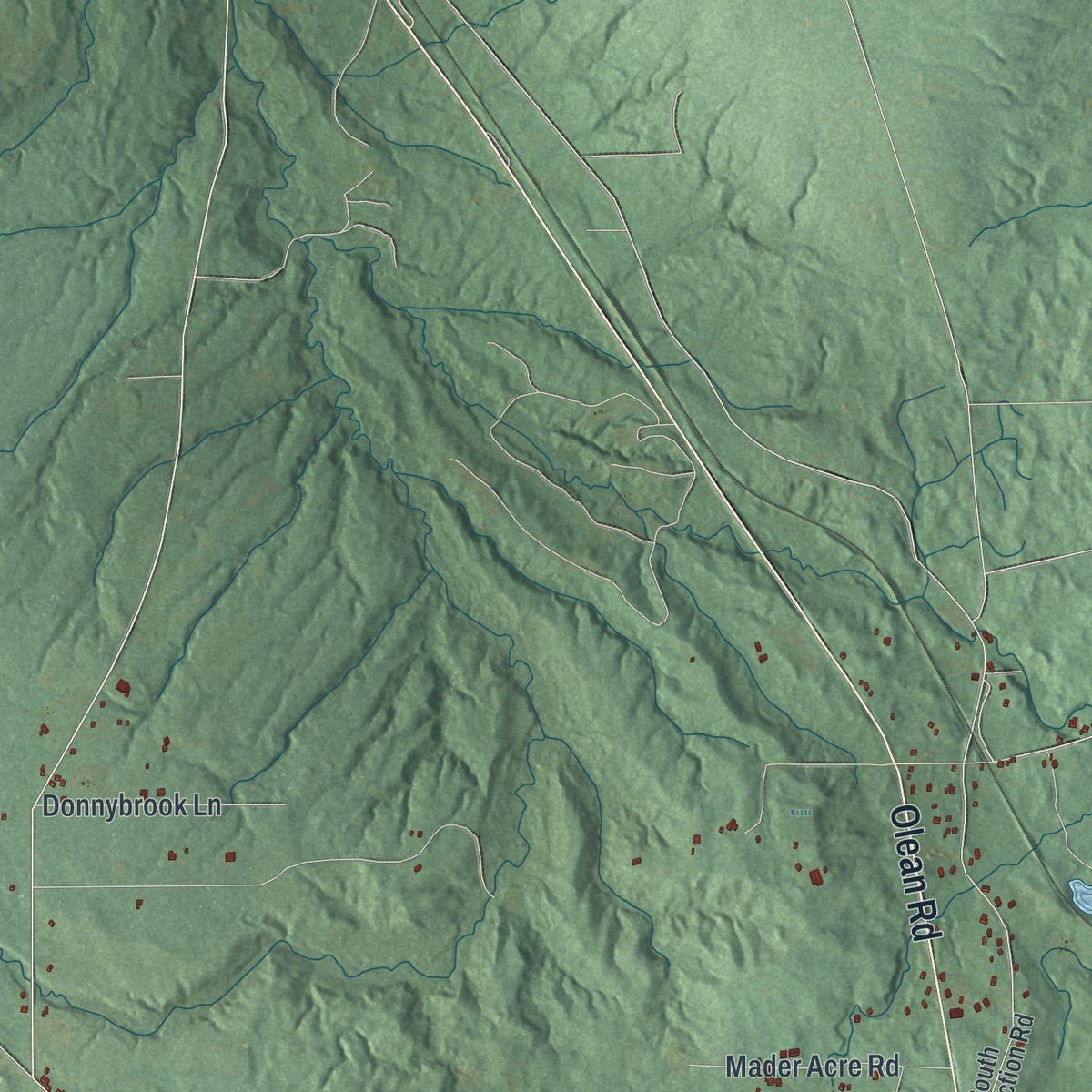 Close-up of the map of Sardinia, New York print showing street and building detail
