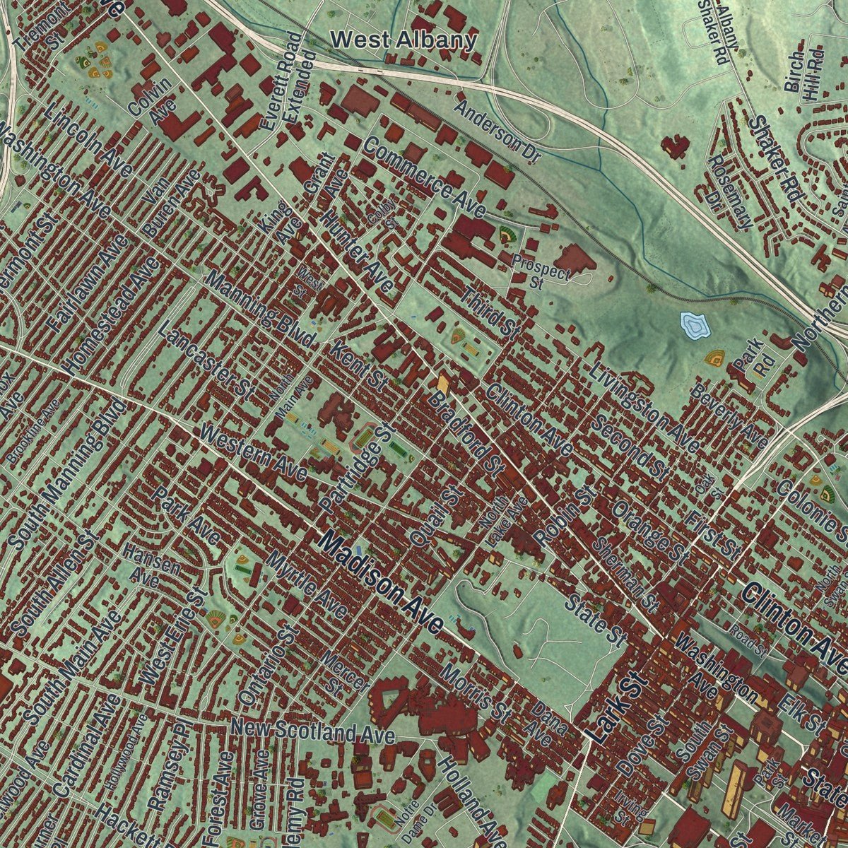 Close-up of the map of Albany, New York print showing street and building detail