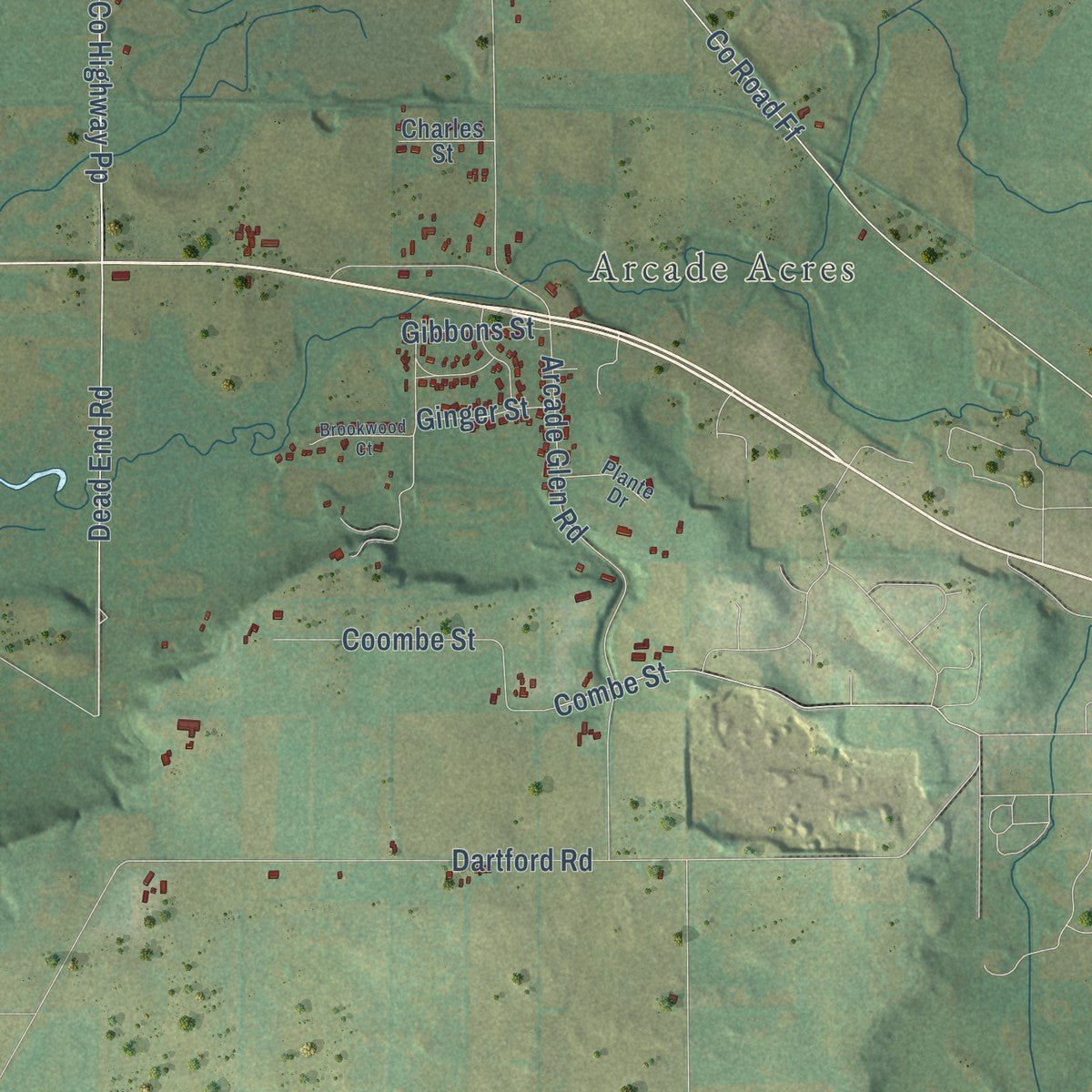 Close-up of the map of the Town of Ripon, Wisconsin print showing street and building detail