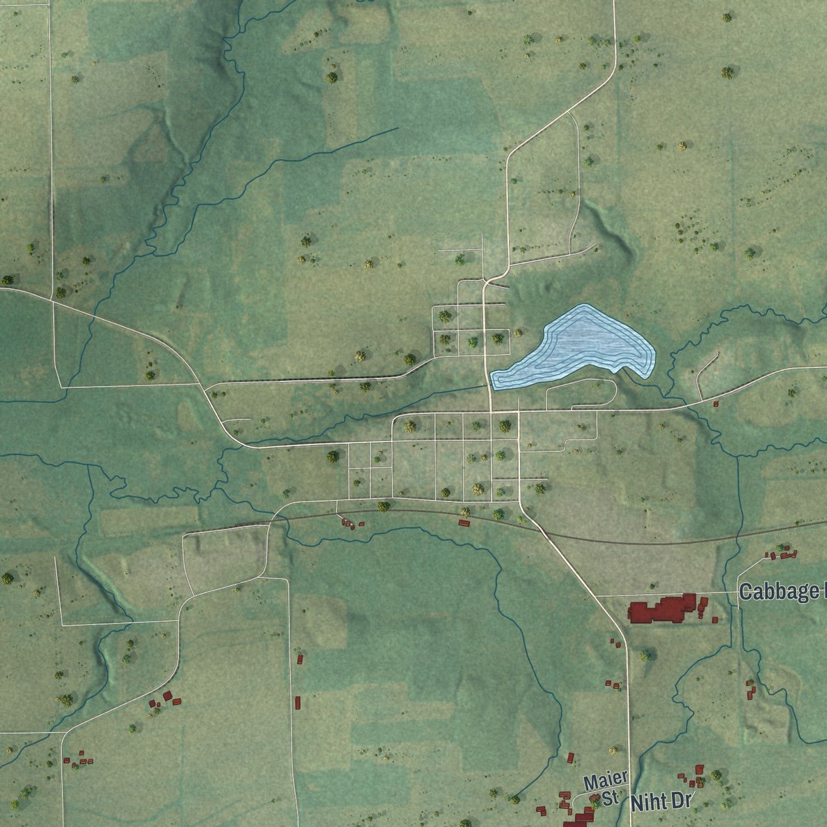 Close-up of the map of Courtland, Wisconsin print showing street and building detail