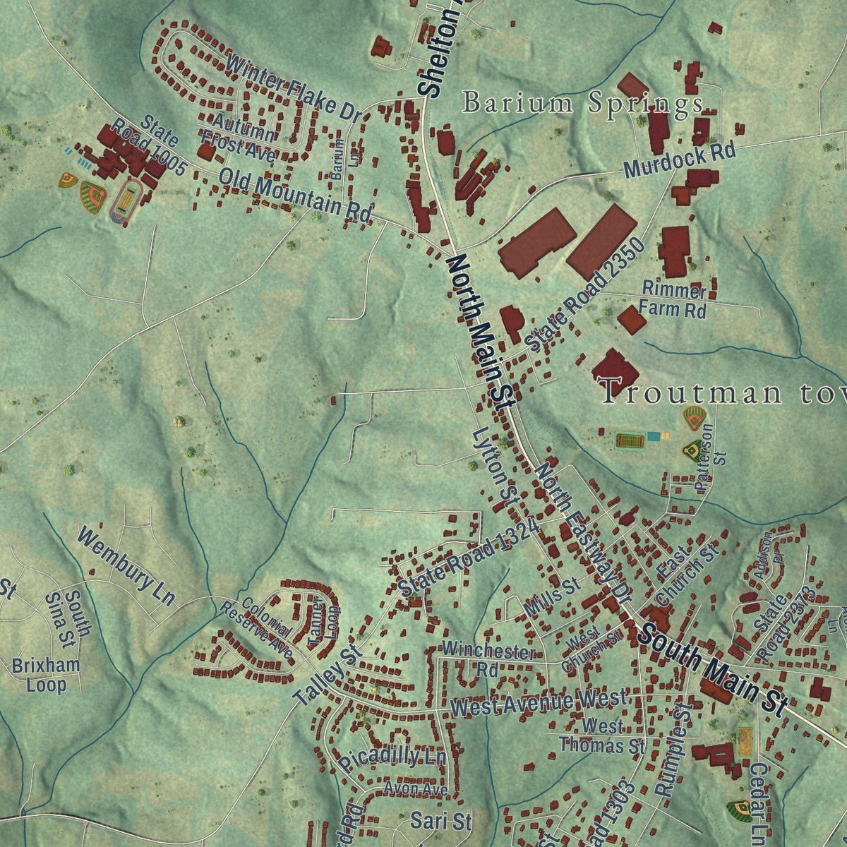 Close-up of the map of Troutman, North Carolina print showing street and building detail