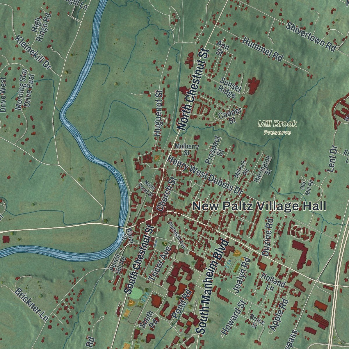 Close-up of the map of the Town of New Paltz, New York print showing street and building detail