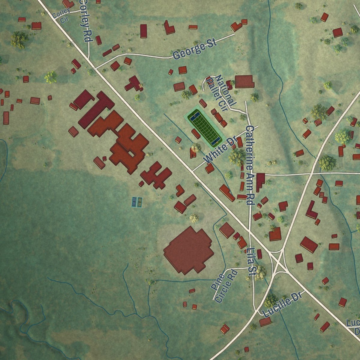 Close-up of the map of Puckett, Mississippi print showing street and building detail