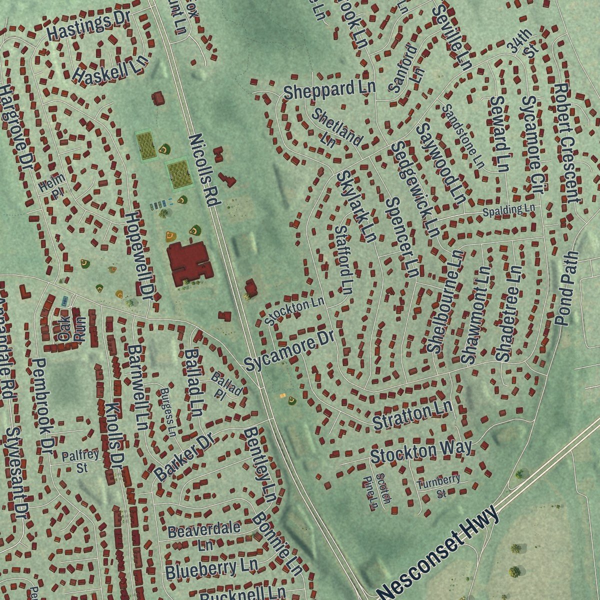 Close-up of the map of Stony Brook, New York print showing street and building detail