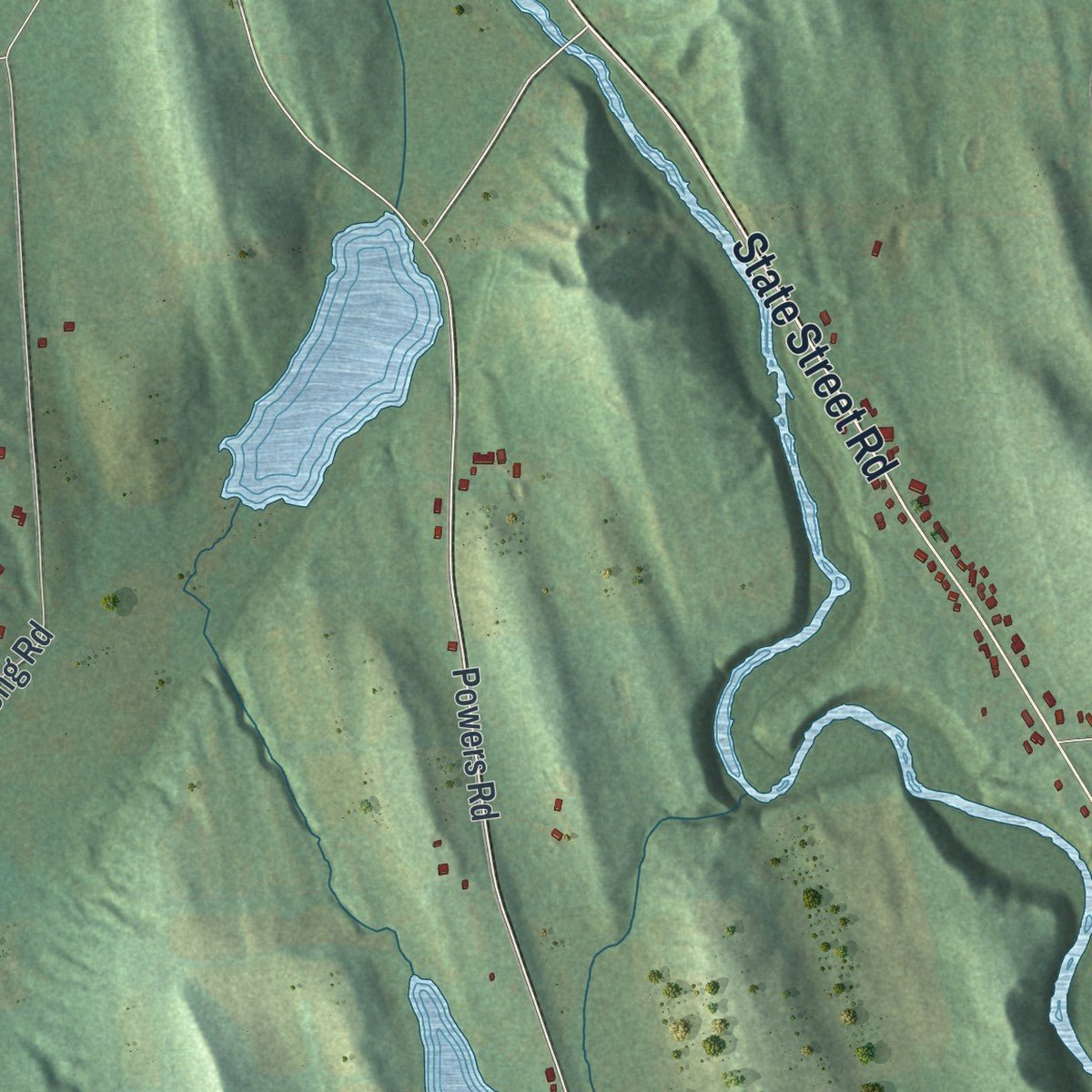Close-up of the map of Throop, New York print showing street and building detail