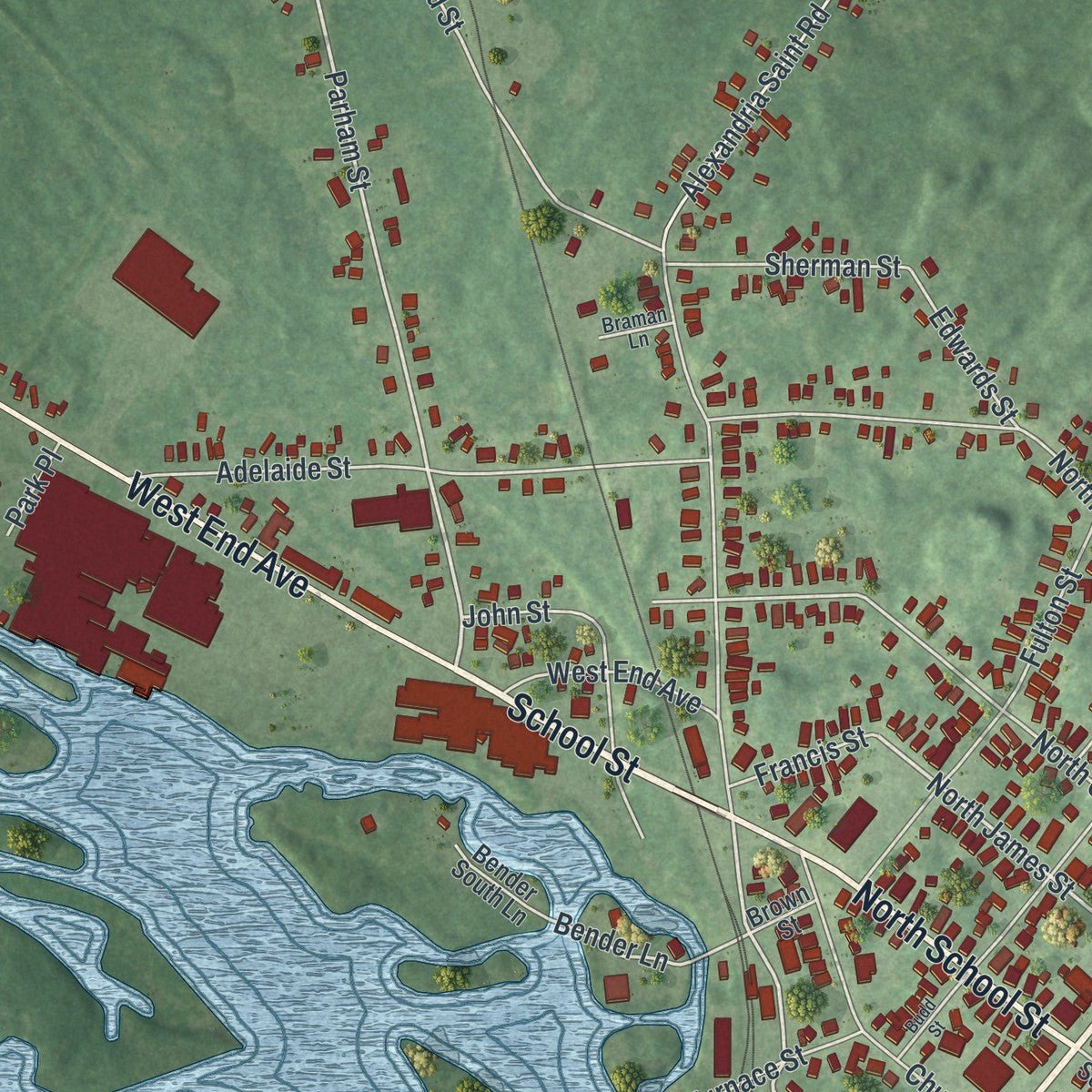Close-up of the map of Carthage, New York print showing street and building detail