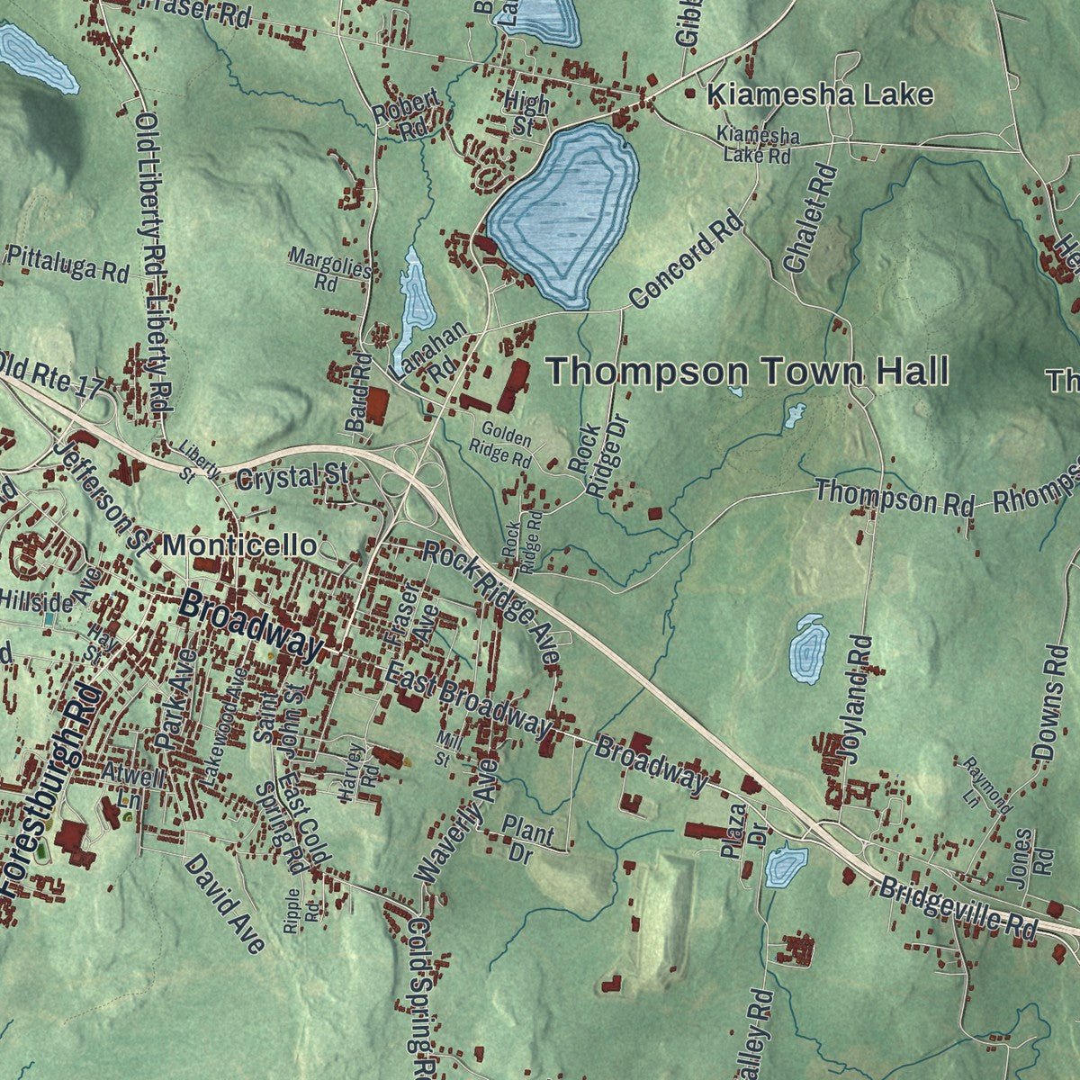 Close-up of the map of Thompson, New York print showing street and building detail