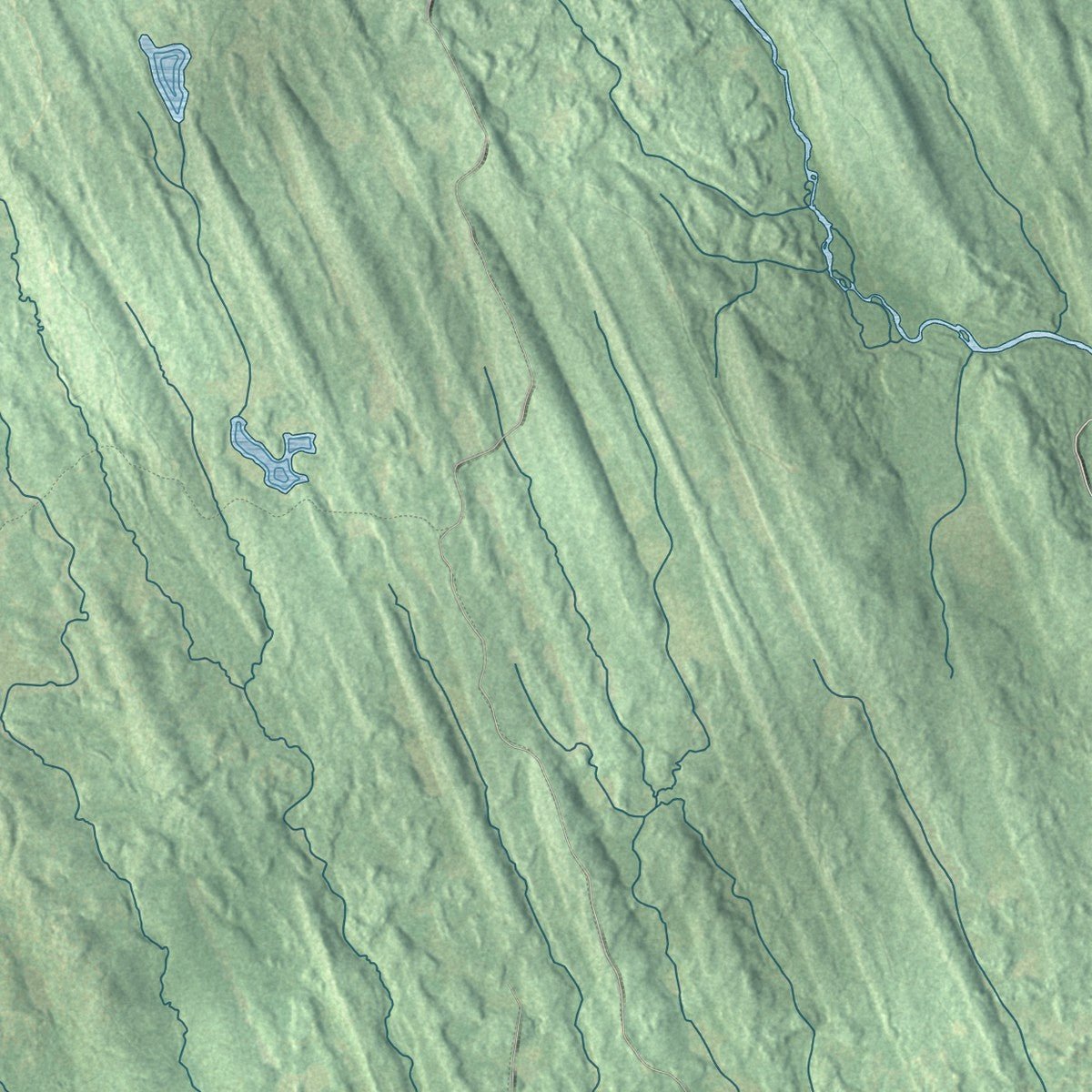 Close-up of the map of Osceola, New York print showing street and building detail