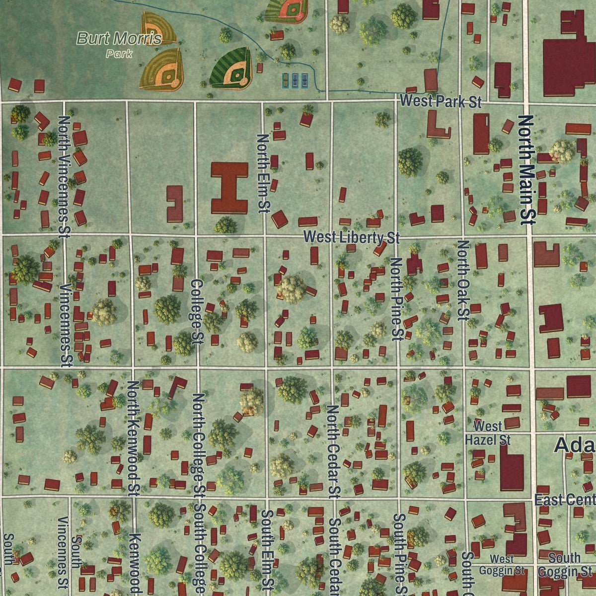 Close-up of the map of Adams, Wisconsin print showing street and building detail