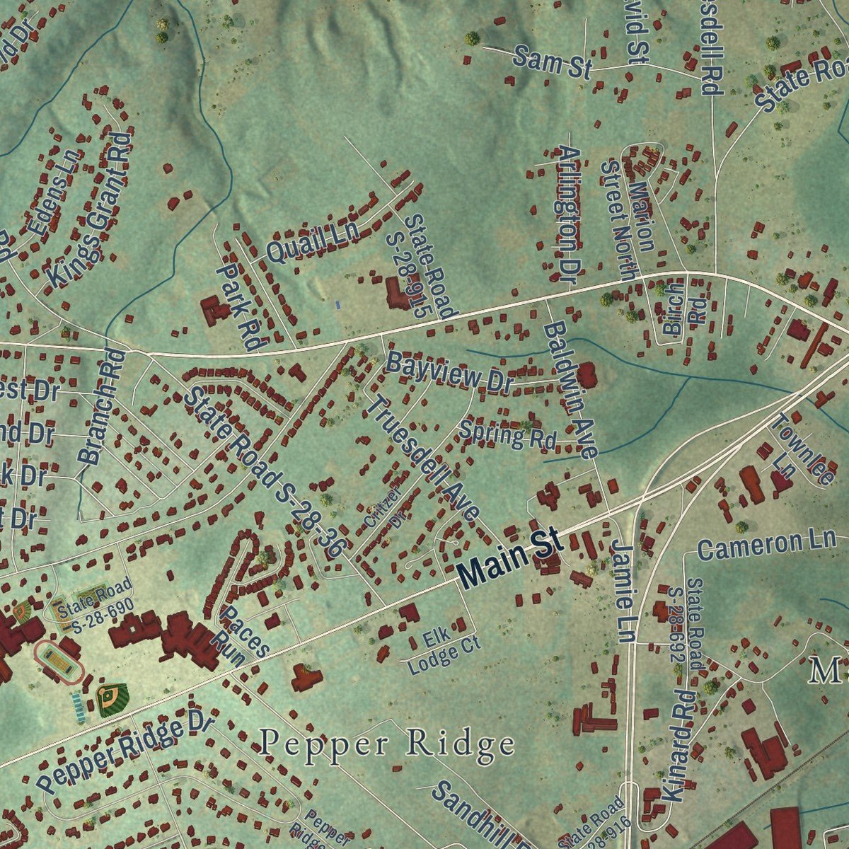 Close-up of the map of Lugoff, South Carolina print showing street and building detail