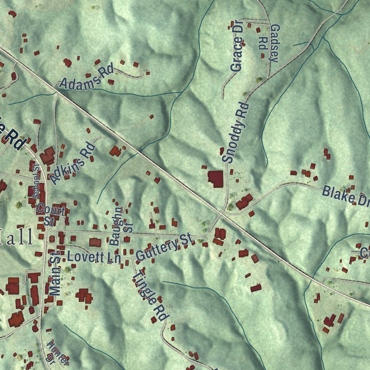 Close-up of the map of Double Springs, Alabama print showing street and building detail