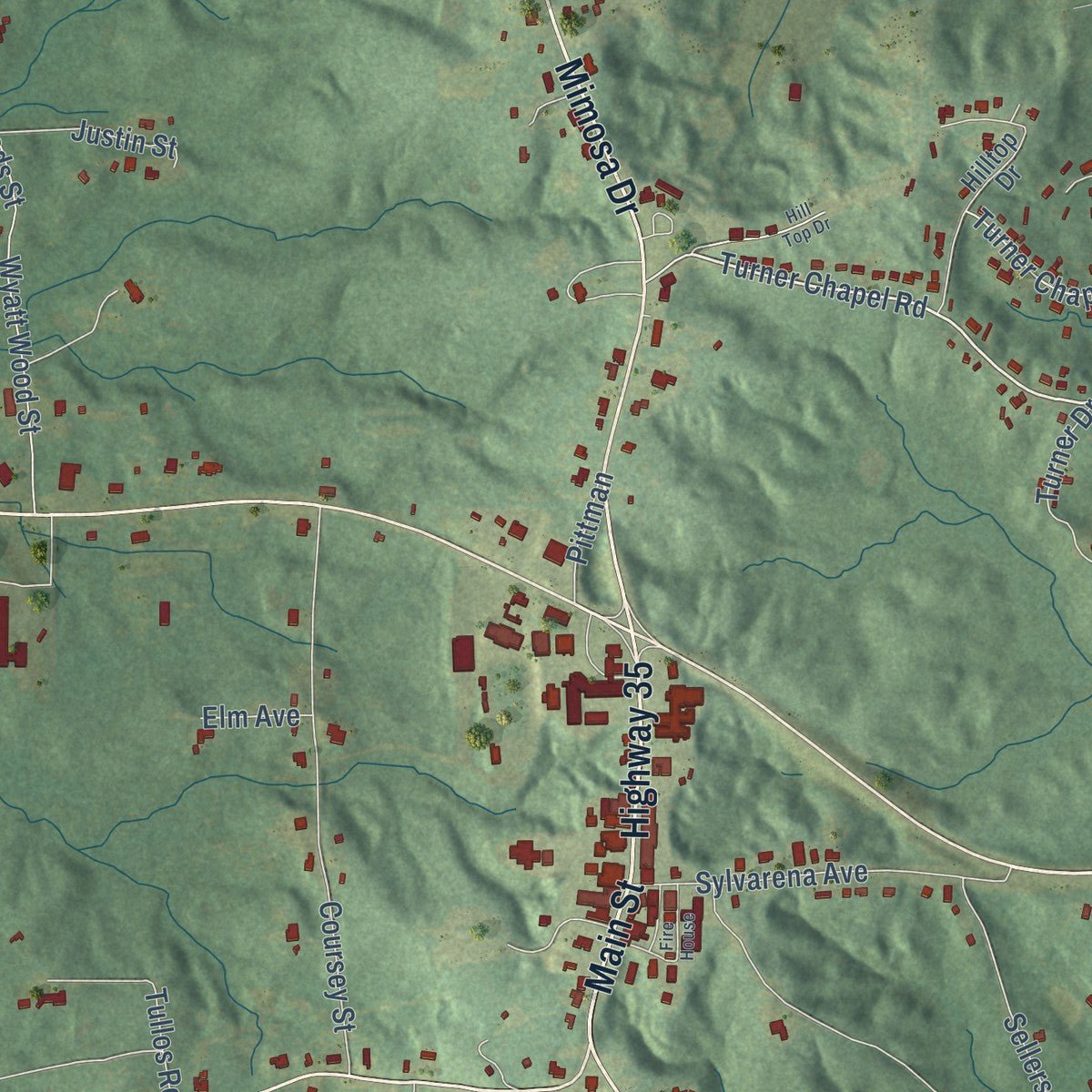 Close-up of the map of Raleigh, Mississippi print showing street and building detail