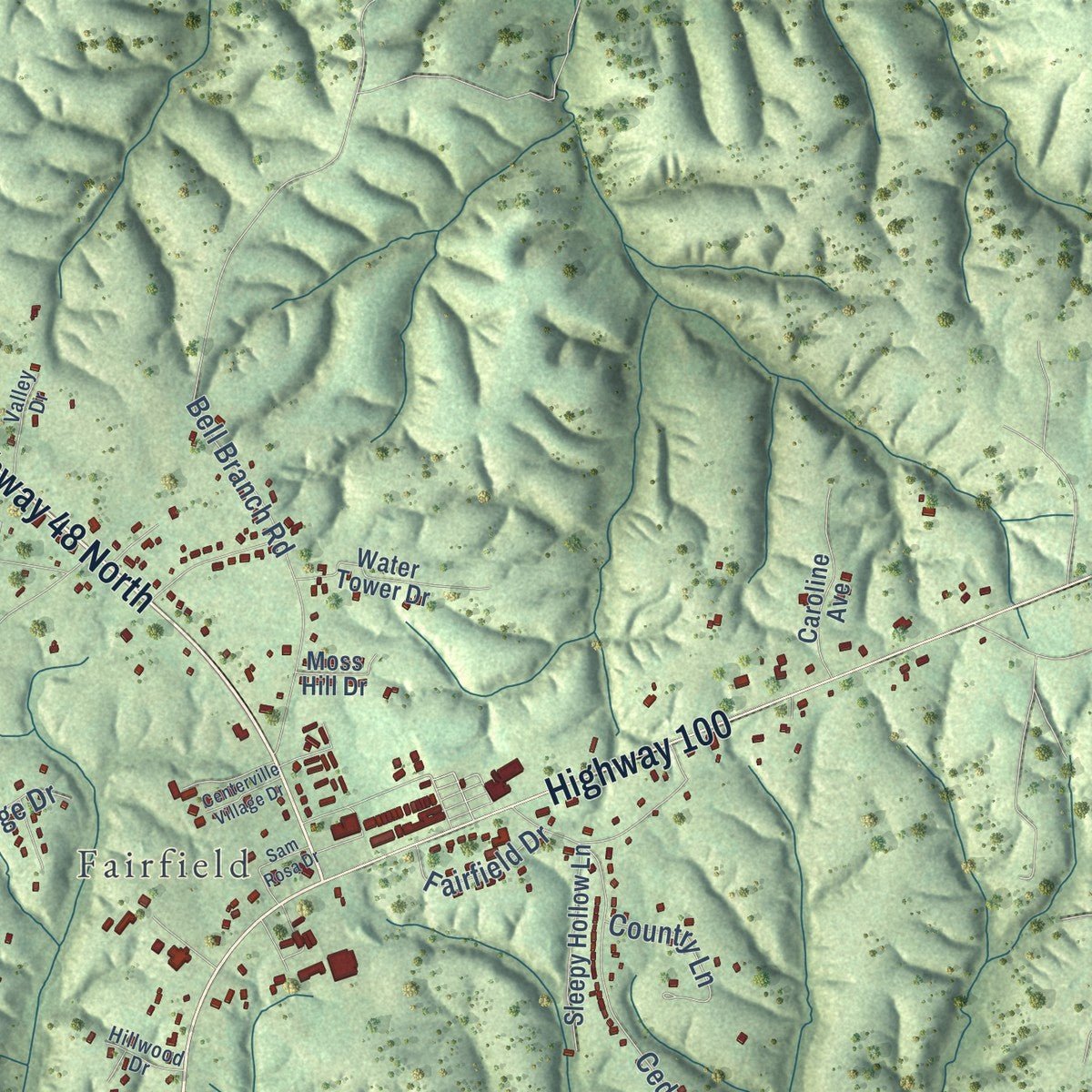 Close-up of the map of Centerville, Tennessee print showing street and building detail