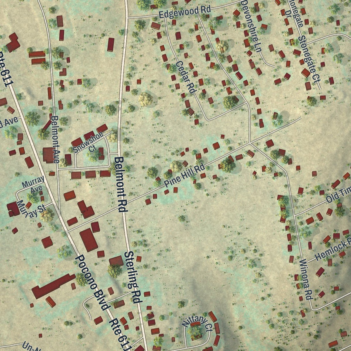 Close-up of the map of Mount Pocono, Pennsylvania print showing street and building detail