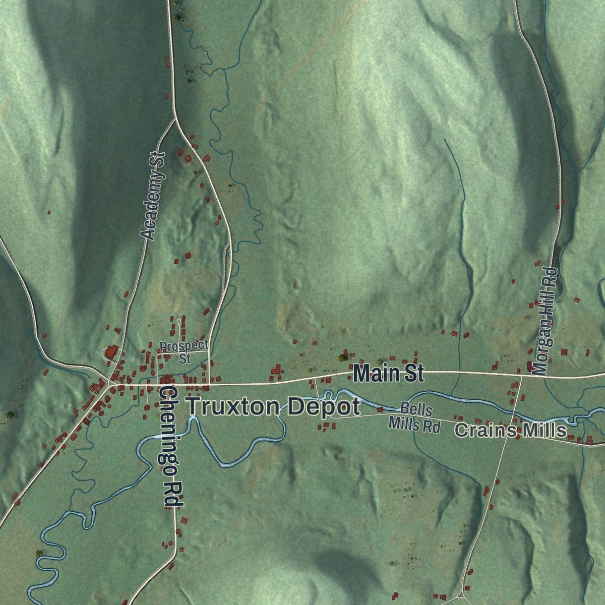 Close-up of the map of Truxton, New York print showing street and building detail
