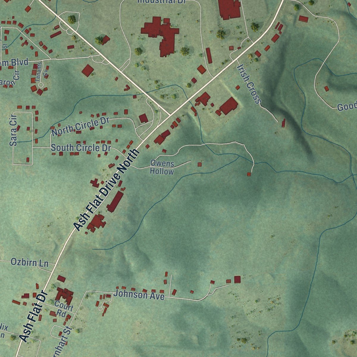 Close-up of the map of Ash Flat, Arkansas print showing street and building detail